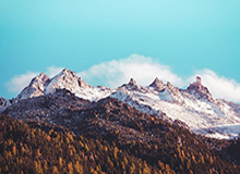 BOB半岛体育首页：开启极致体育生活的新入口